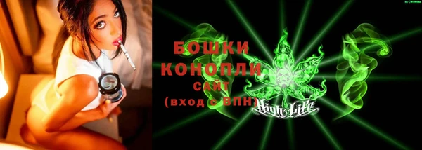 ГАЛЛЮЦИНОГЕННЫЕ ГРИБЫ Арсеньев