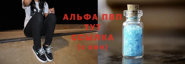 крисы Аркадак