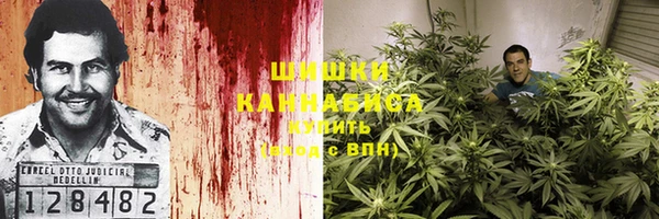 крисы Аркадак