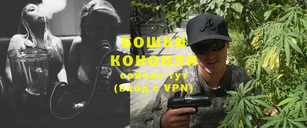 ГАЛЛЮЦИНОГЕННЫЕ ГРИБЫ Арсеньев